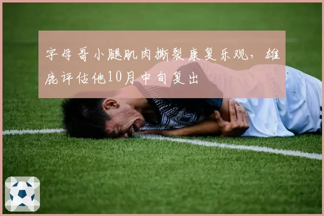 字母哥小腿肌肉撕裂康复乐观,雄鹿评估他10月中旬复出