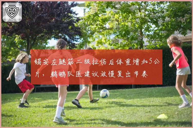 锡安左腿筋二级拉伤后体重增加5公斤,鹈鹕队医建议放慢复出节奏
